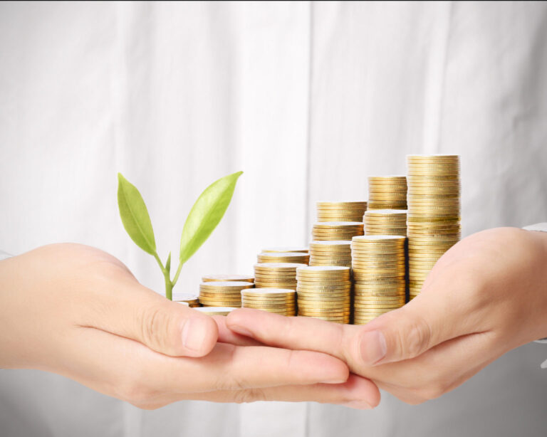 FISCALITE VERTE 'LE GREEN DEAL' LA TAXONOMIE EUROPEENNE DES ACTIVITES ECONOMIQUES
