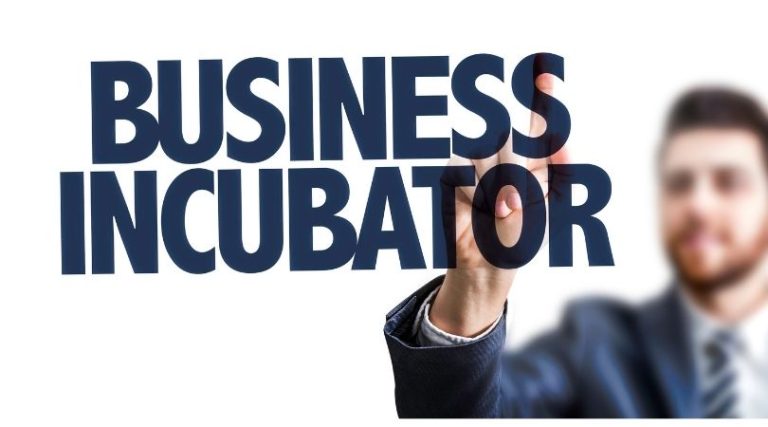 Incubateurs : définition